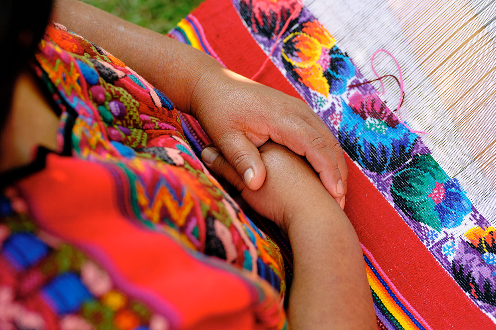 lien vers le site de la FAO Image d'une femme tricotant un vêtement.