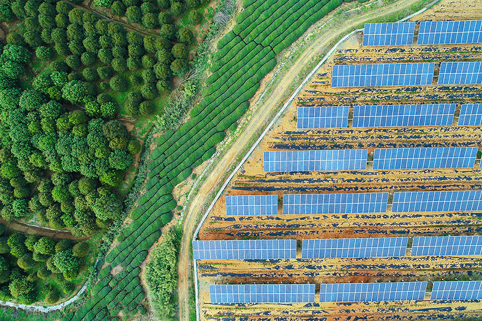 Aerial view of a solar farm.